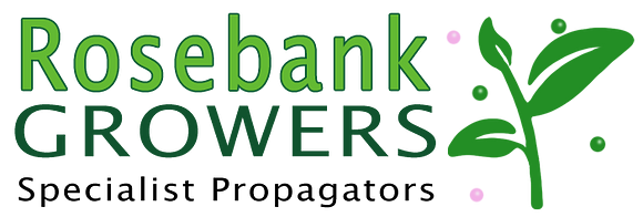 Rosebank Growers